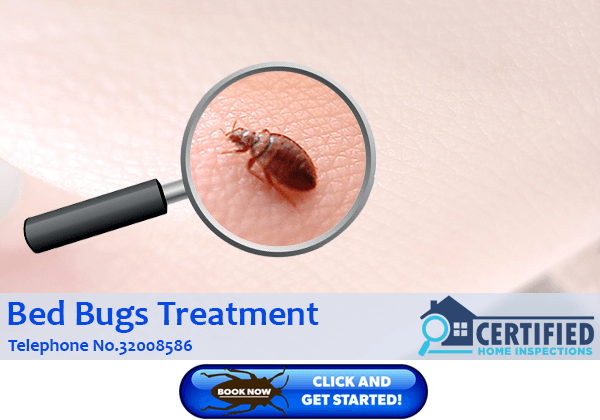 Bed Bugs Treatments Yeronga