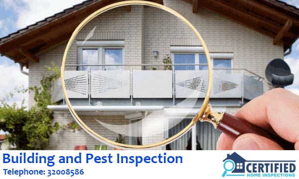 Building And Pest Inspection Dutton Park