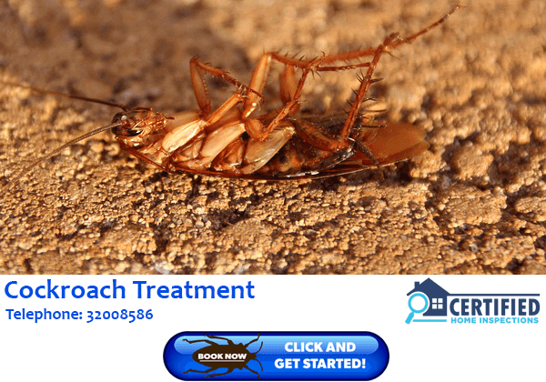 Cockroach Treatment Merrimac
