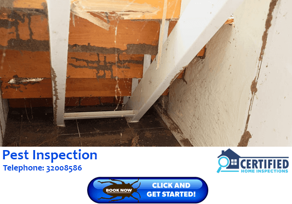 Pest Inspection Ransome