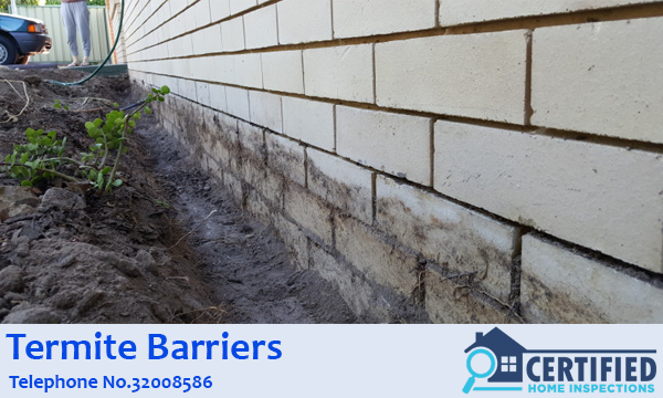 Termite Barrier Nerang