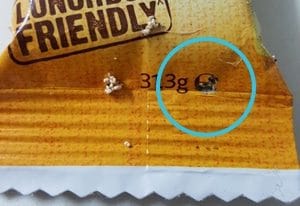 Maggots And Pantry Moth Larvae