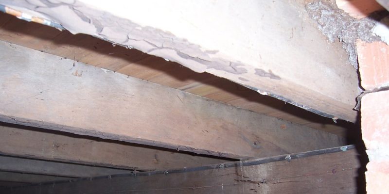 Whats the difference between a Pest Inspection or Termite Inspection
