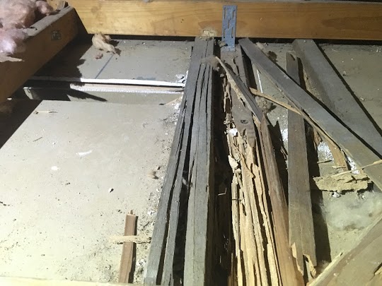  Pest Inspection, Termite Inspection