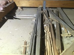 Termites damage roof timber