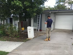 The importance of Termite inspections