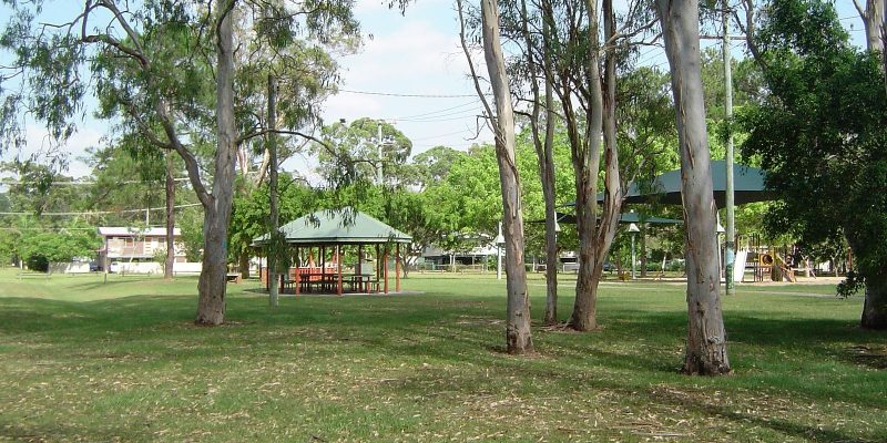 termites loganlea